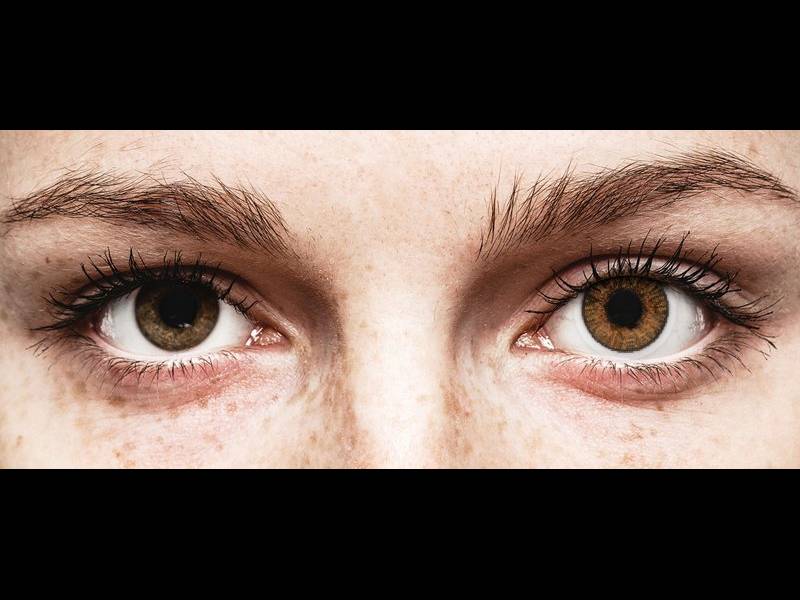 FreshLook ColorBlends Honey - correttive (2 lenti)