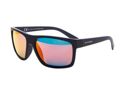 Blizzard POLSC603 011