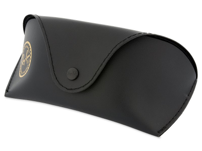 Occhiali da sole Ray-Ban RB3527 - 029/9A POL  - Original leather case (illustration photo)